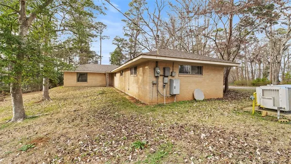 a road view with large trees