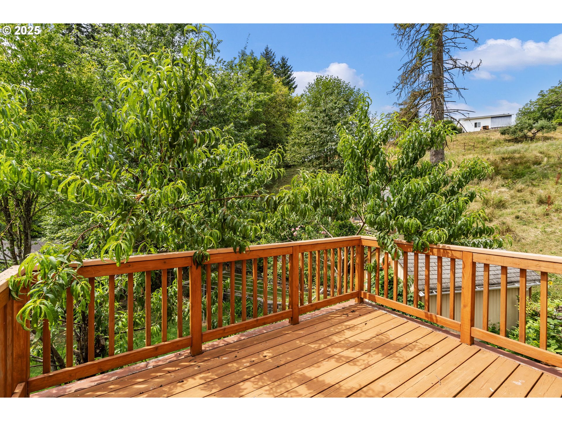 51557 Southwest Em Watts Road Scappoose, OR 97056 - Photo 24 of 40 a view of wooden deck