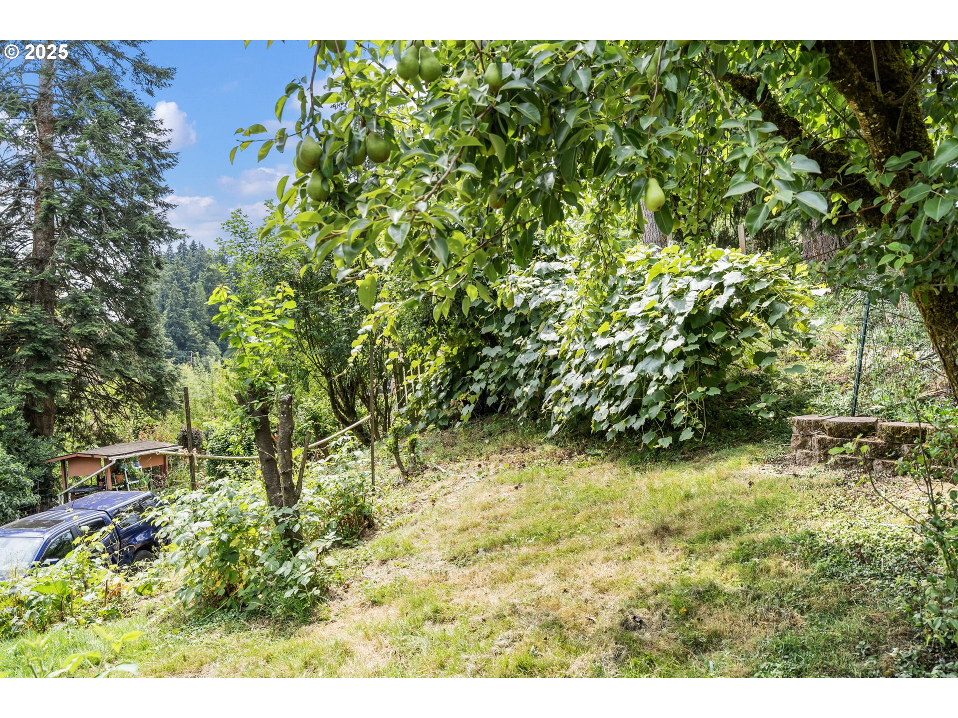 51557 Southwest Em Watts Road Scappoose, OR 97056 - Photo 35 of 40 a view of outdoor space and a yard