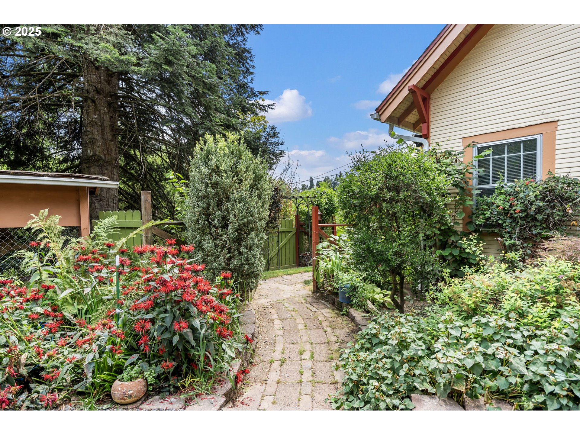 51557 Southwest Em Watts Road Scappoose, OR 97056 - Photo 37 of 40 a view of a backyard with plants