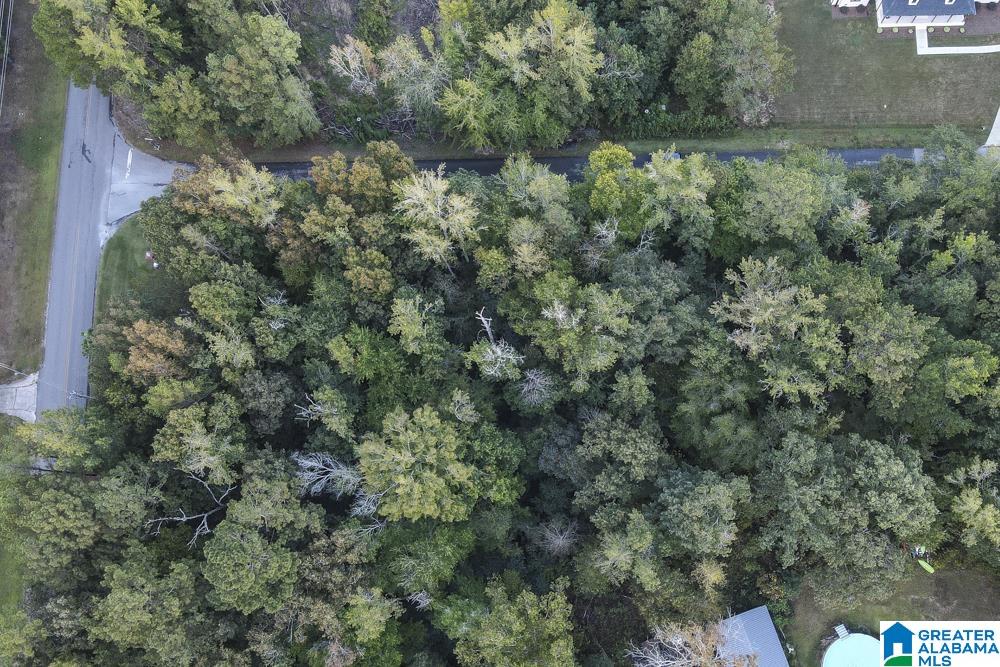 18 Forest Ridge Drive, Unit 23 Jacksonville, AL 36265 - Photo 2 of 9