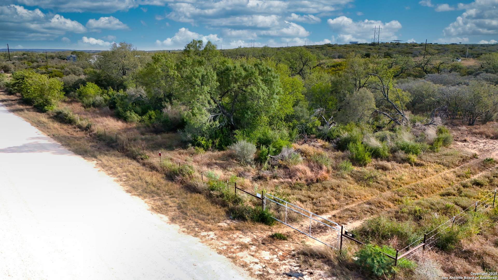 291 County Road 1670 Moore, TX 78057 - Photo 9 of 11 a view of a bunch of trees and bushes