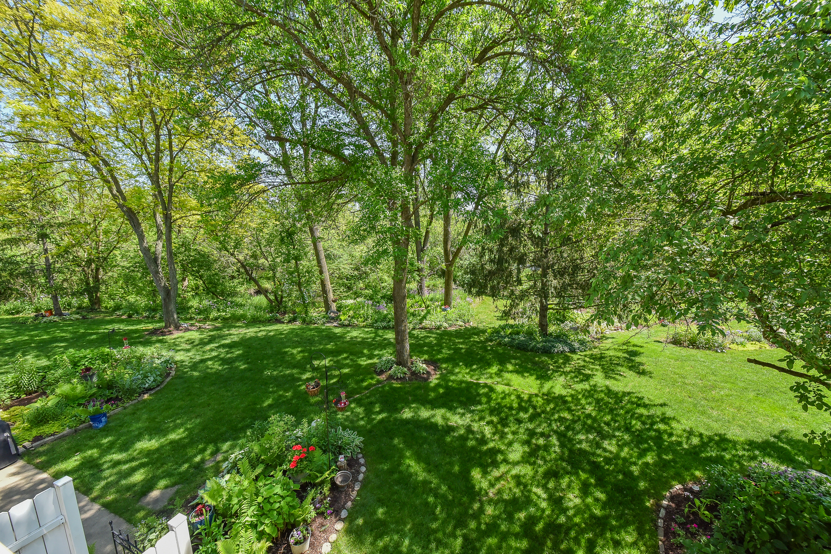 -n159 Windermere Road, Unit 1107 Winfield, IL 60190 - Photo 12 of 14 a view of a lush green forest