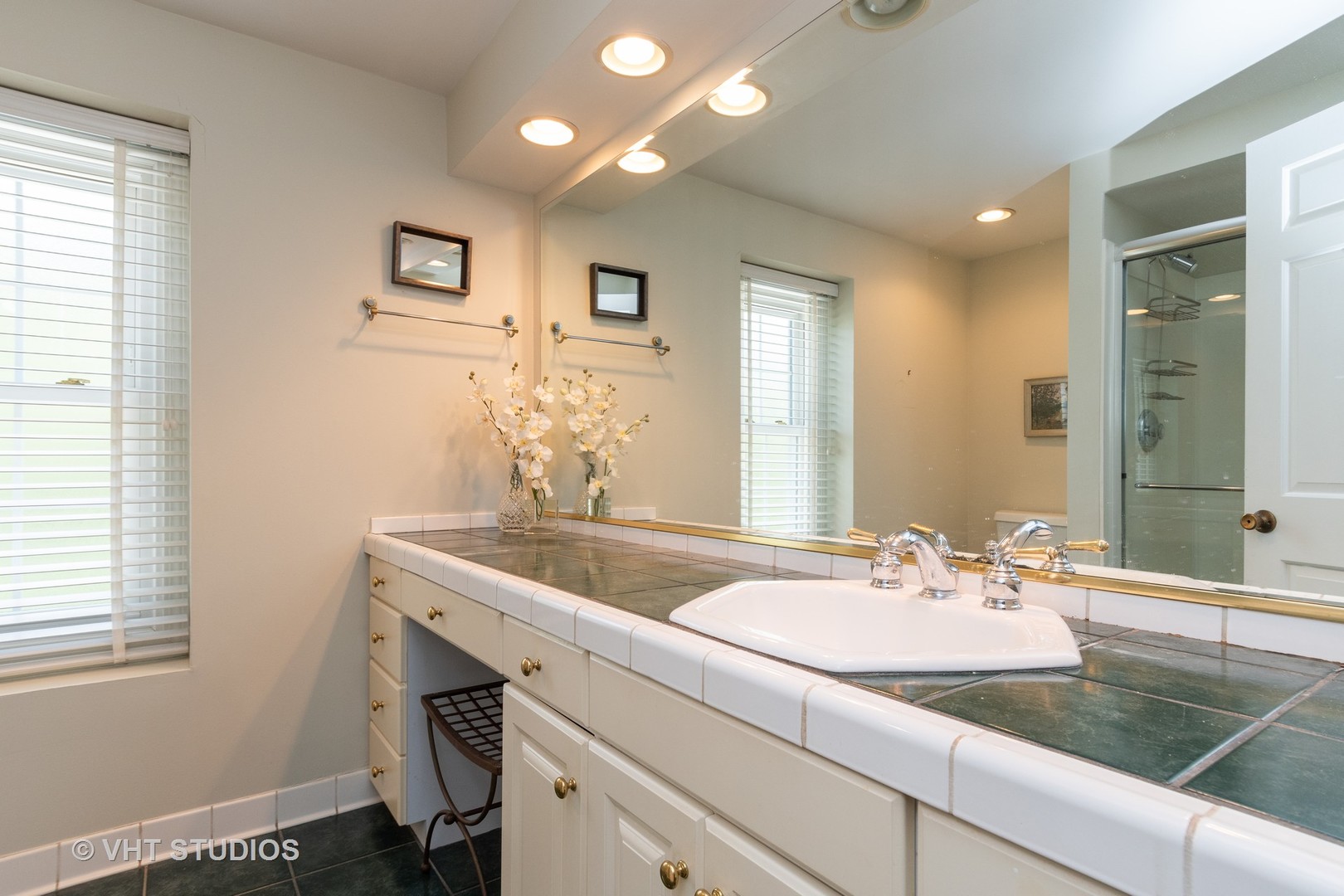 909 East Bailey Road Naperville, IL 60565 - Photo 14 of 24