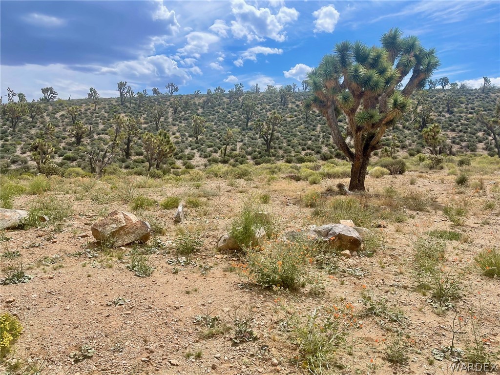 336-05-033 Smith Road Meadview, AZ 86444 - Photo 33 of 36 a view of a yard