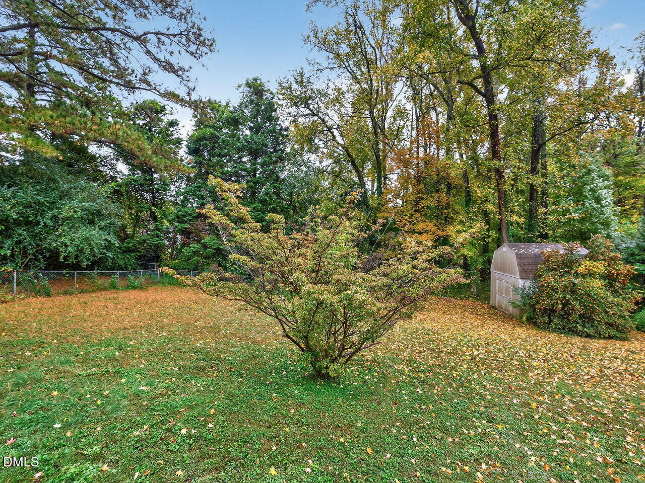 617 South Lakeside Drive Raleigh, NC 27606 - Photo 28 of 32 a view of a yard with an trees