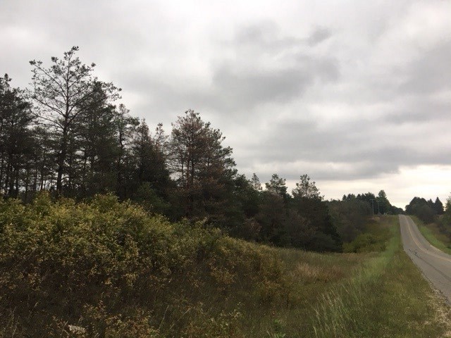 0 16th Road Mesick, MI 49668 - Photo 6 of 10 1872836-5.JPG