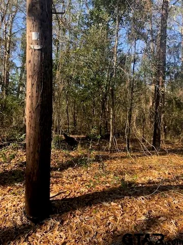 a view of a yard with large trees