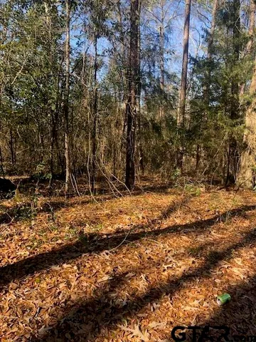 a view of house with a yard