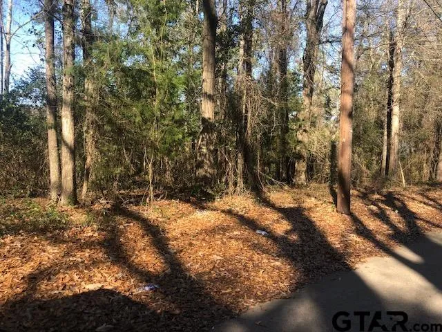 a view of a yard with trees