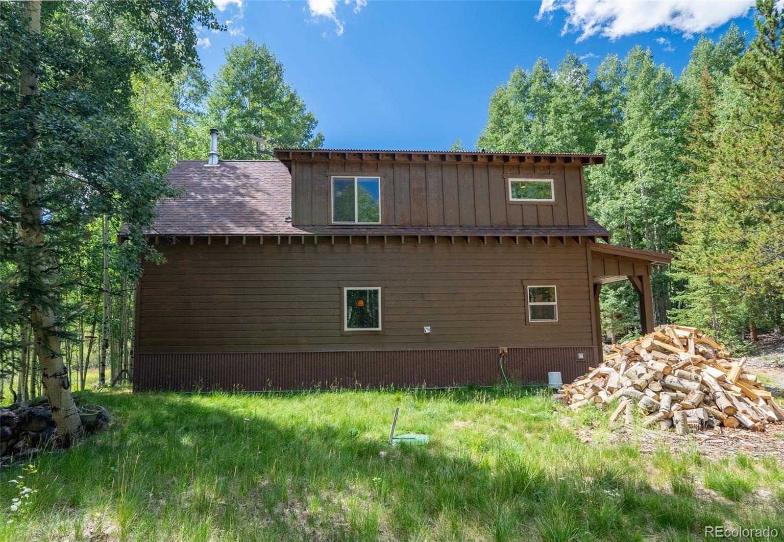 25879 County Road Nathrop, CO 81236 - Photo 4 of 44