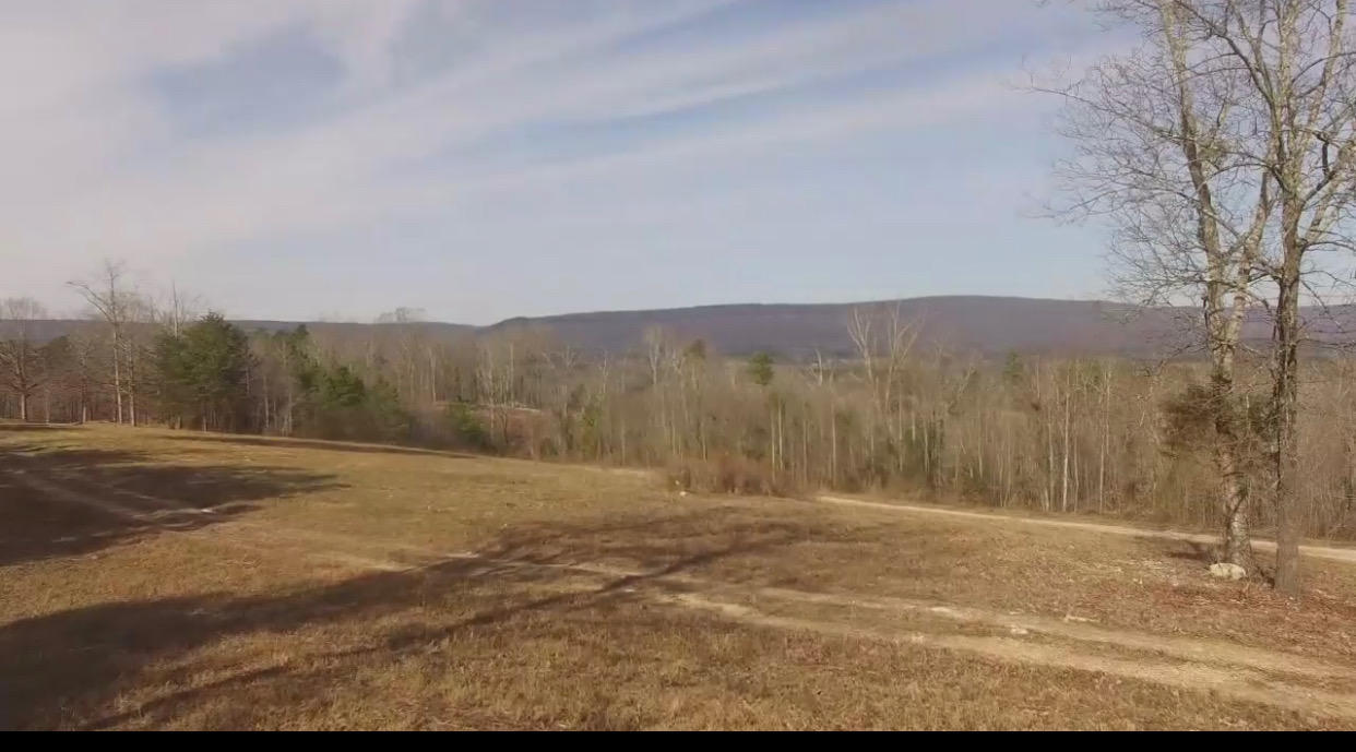 . South Longhollow Road Trion, GA 30753 - Photo 11 of 15 11 land