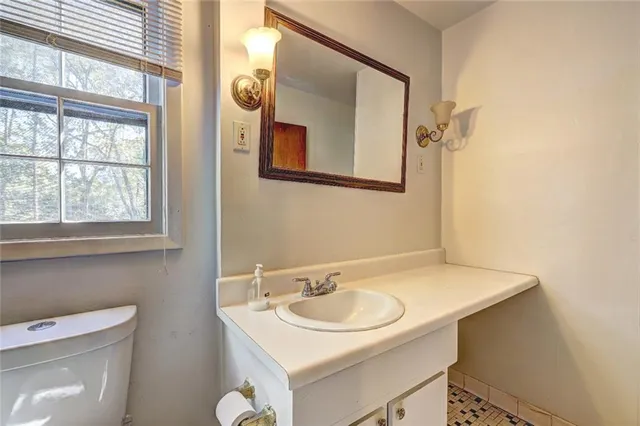a bathroom with a sink and a toilet