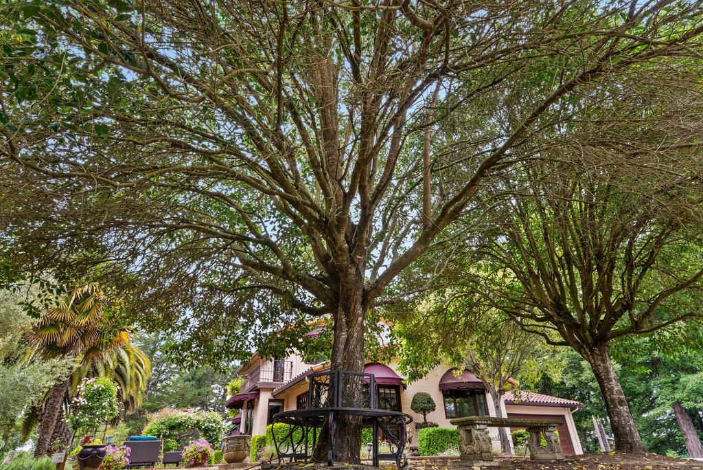 780 Calabasas Road Watsonville, CA 95076 - Photo 46 of 54