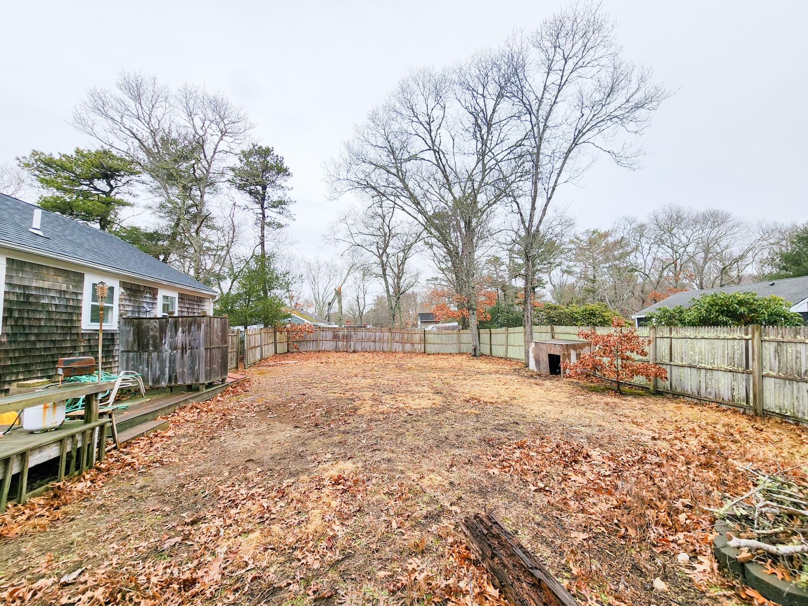 437 Cotuit Road Mashpee, MA 02649 - Photo 20 of 30 a view of a backyard with large trees