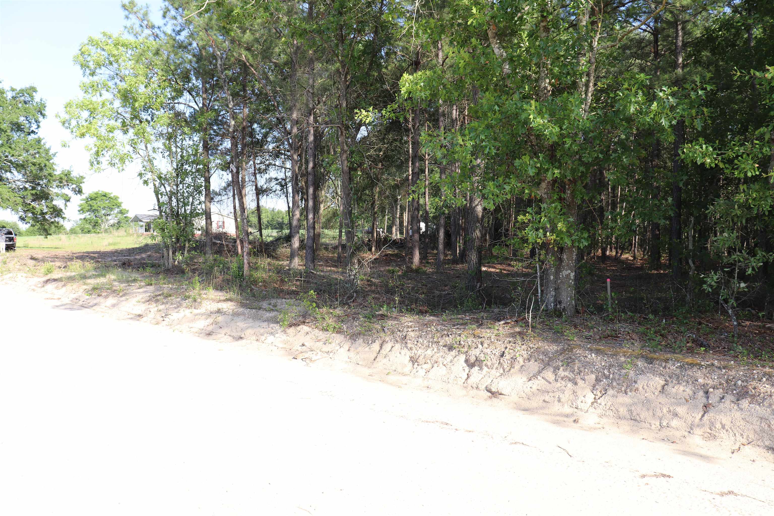 2631 Charlie Johnson Road Bethune, SC 29009 - Photo 18 of 29