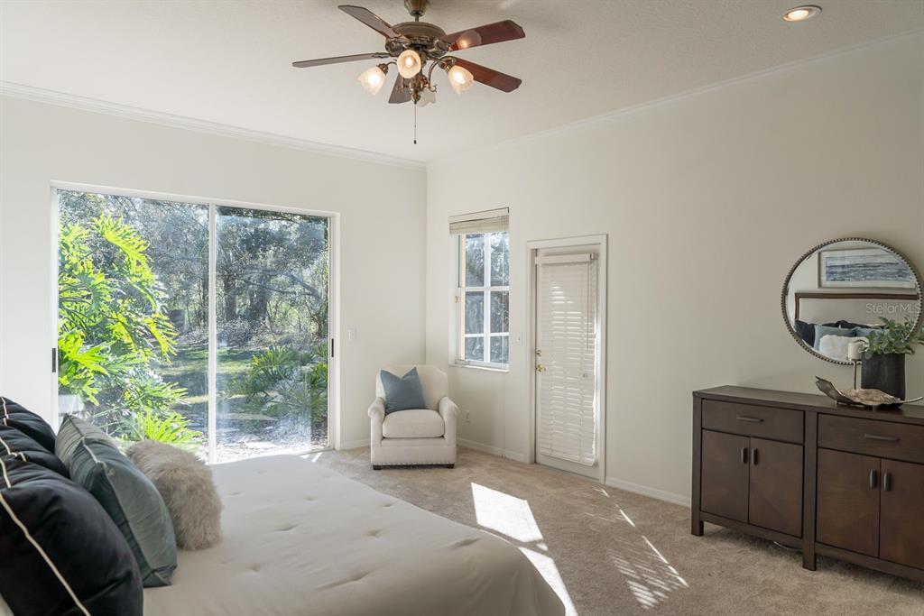 814 Brantenburg Way Lutz, FL 33548 - Photo 17 of 34 a bedroom with a bed windows and a chandelier