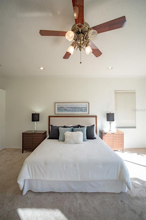 814 Brantenburg Way Lutz, FL 33548 - Photo 19 of 34 a bedroom with a large bed and a chandelier