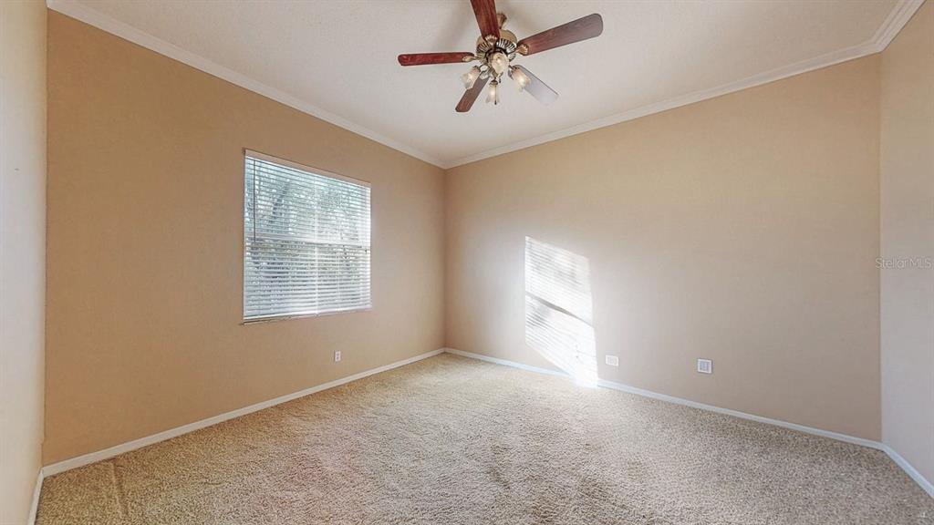814 Brantenburg Way Lutz, FL 33548 - Photo 23 of 34 a view of empty room with windows and ceiling fan