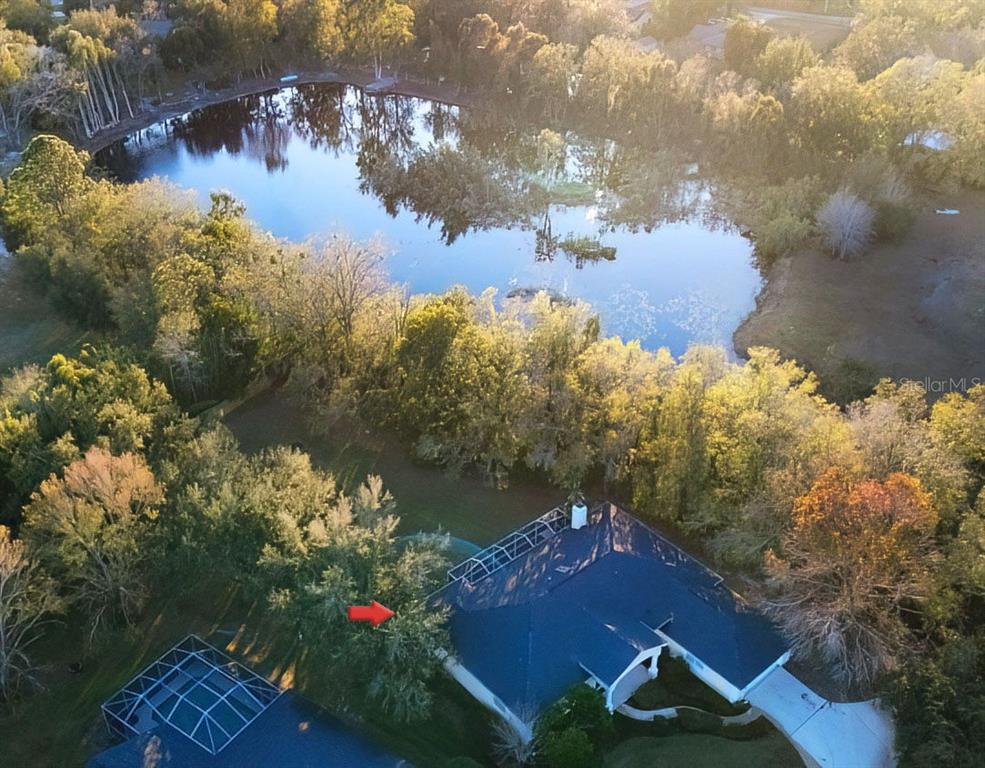 814 Brantenburg Way Lutz, FL 33548 - Photo 3 of 34 a view of lake from balcony