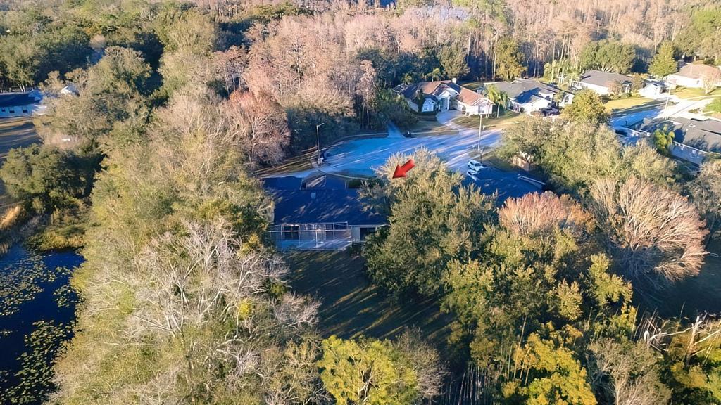 814 Brantenburg Way Lutz, FL 33548 - Photo 32 of 34 a view of a city