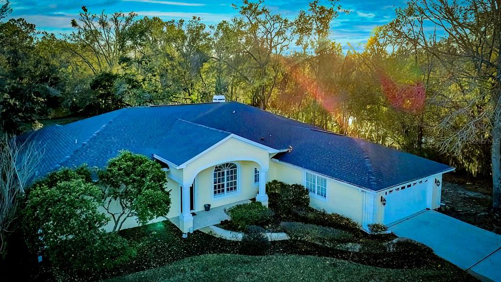 814 Brantenburg Way Lutz, FL 33548 - Photo 34 of 34 a house view with a garden space