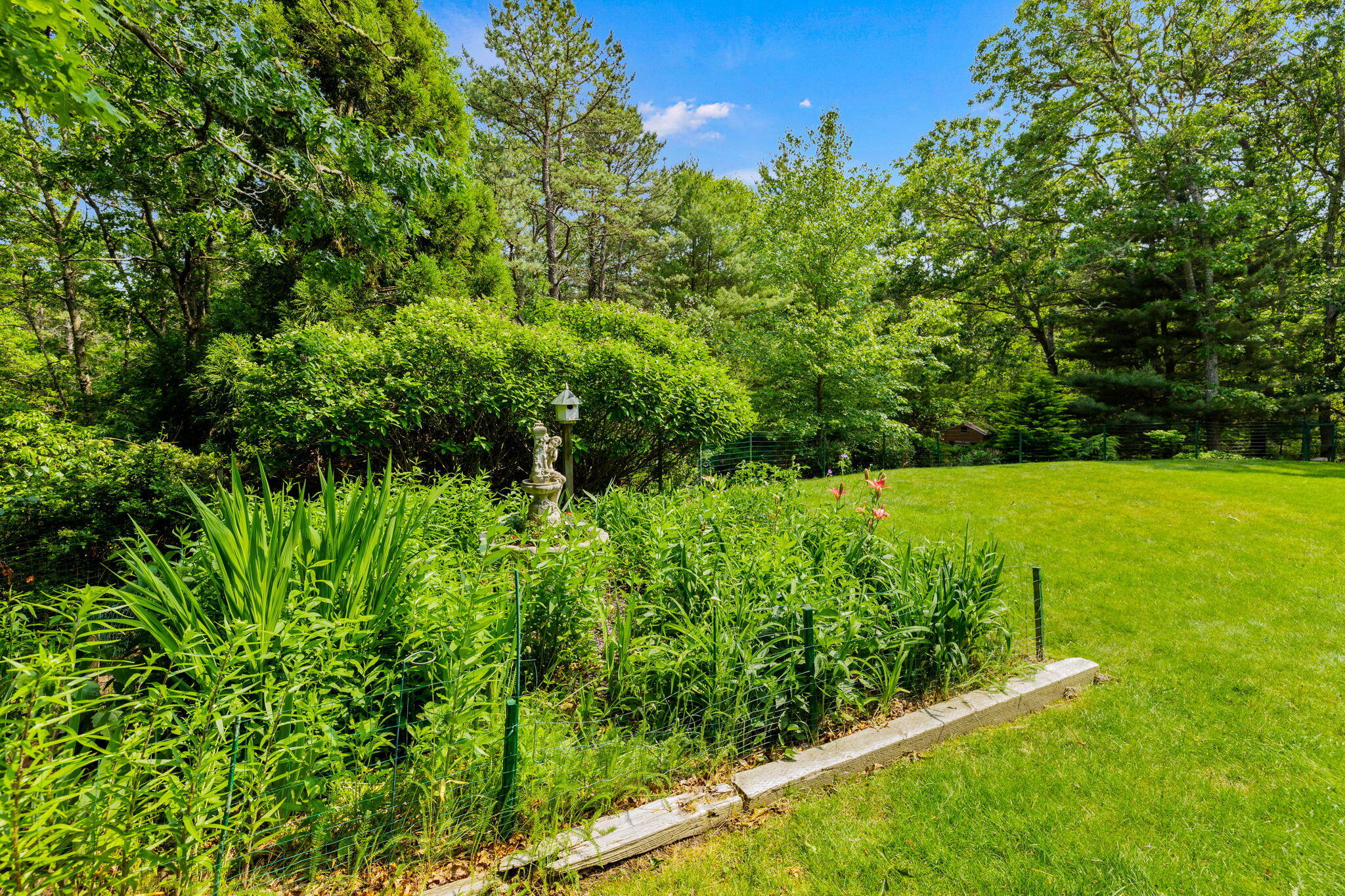 363 Blacksmith Shop Road East Falmouth, MA 02536 - Photo 35 of 40 a view of yard with swimming pool and green space