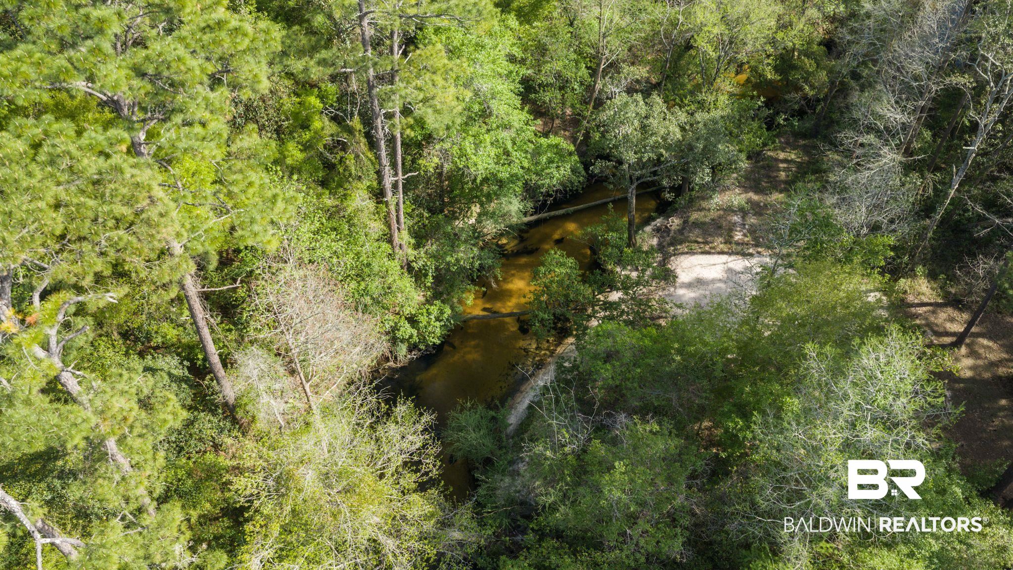 22800 River Road South Daphne, AL 36526 - Photo 45 of 52 View of wooded area featuring a water view
