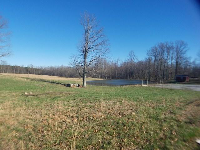 667 Low Gap Road Sparta, TN 38583 - Photo 31 of 34 View of Pond from Deck
