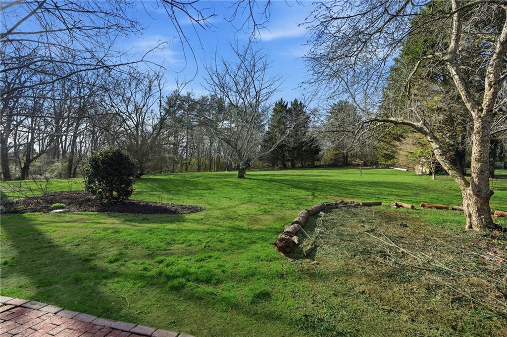 2240 McBrayer Court Cumming, GA 30028 - Photo 31 of 35 a view of a park with large trees