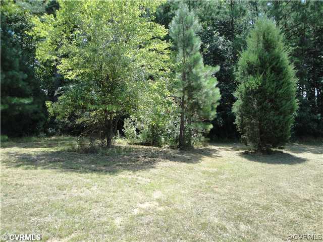 12728 Glebe Road Dewitt, VA 23840 - Photo 2 of 3 a view of a yard with a tree
