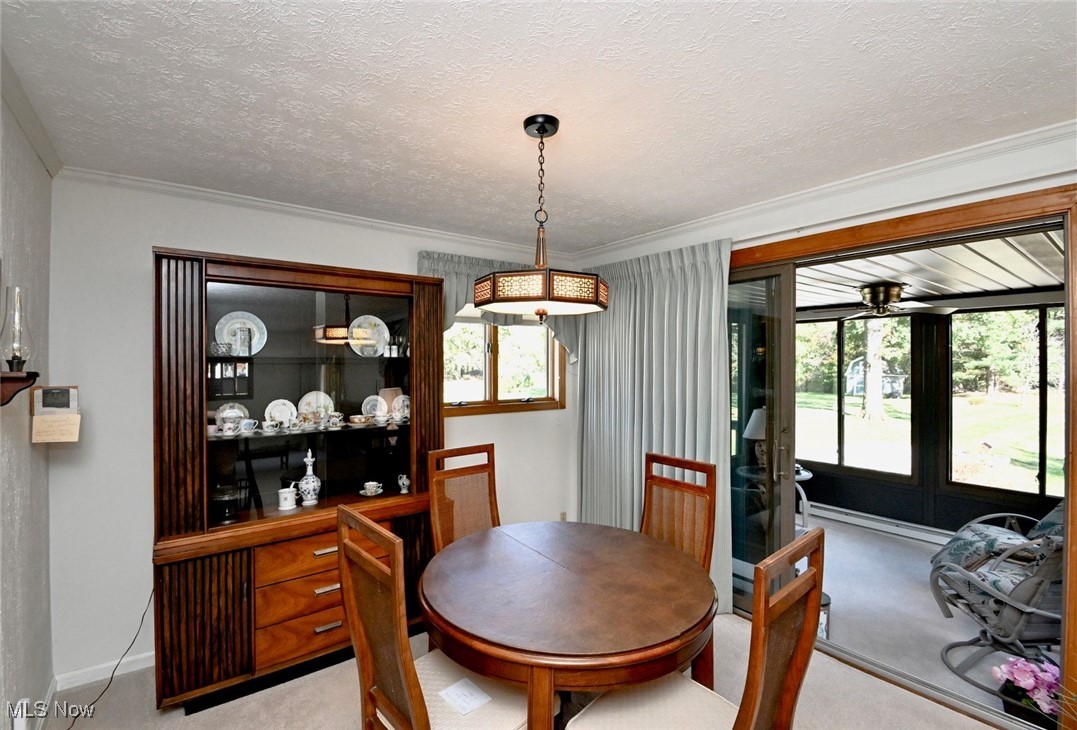 5653 Dailey Road New Franklin, OH 44319 - Photo 17 of 24 Dining space featuring crown molding, light carpet, a textured ceiling, and plenty of natural light