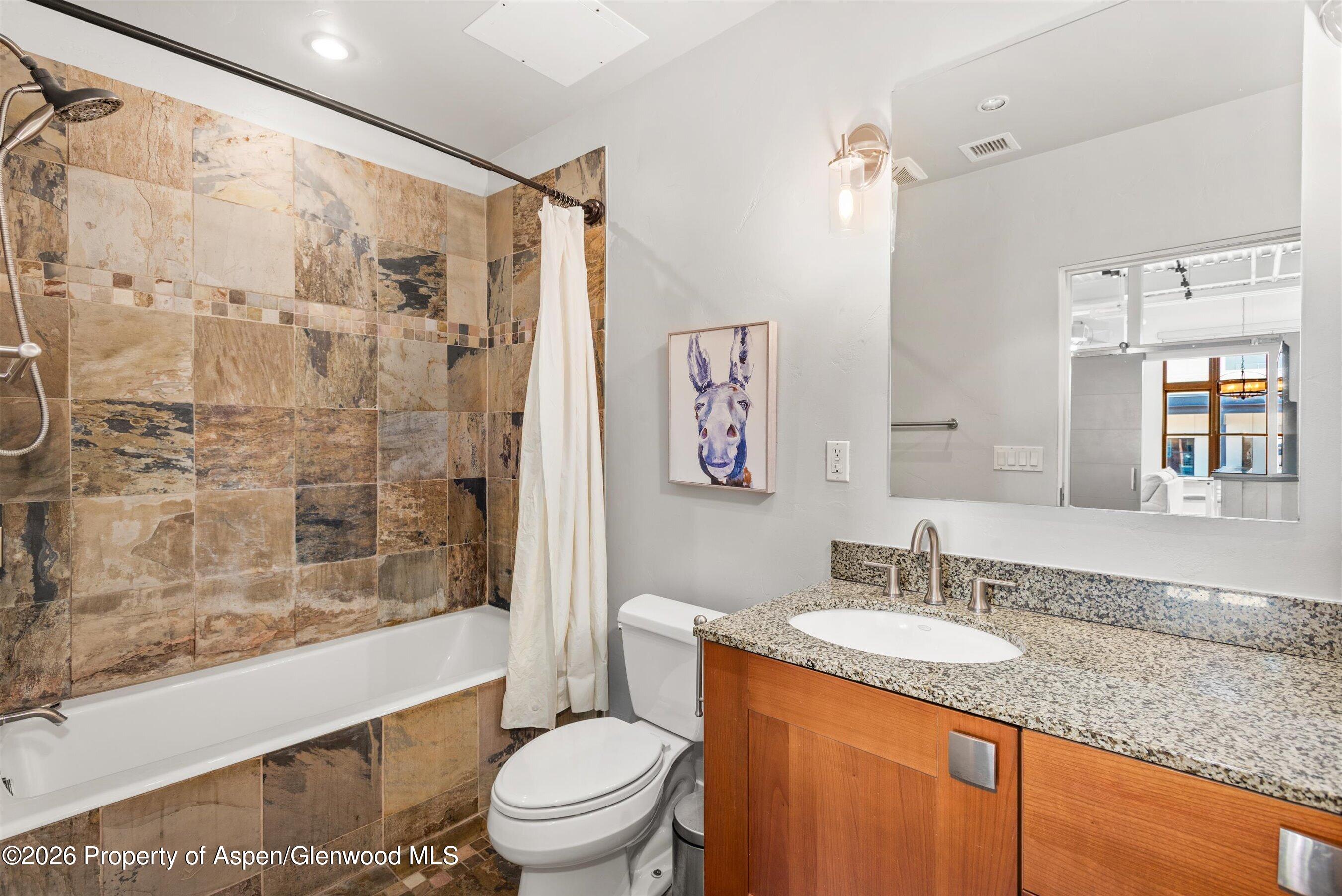 231 Robinson Street, Unit 310 Basalt, CO 81621 - Photo 10 of 15 Bathroom