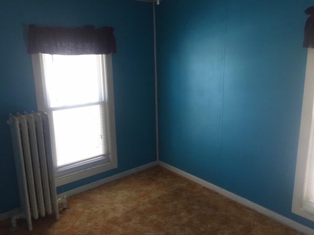 206 South Main Street Ohio, IL 61349 - Photo 14 of 24 Gallery Image 14