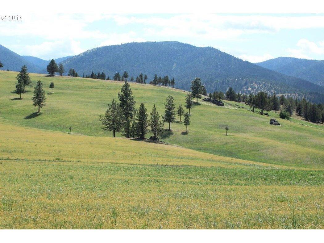 25988 Lay Cock Creek Road Mount Vernon, OR 97865 - Photo 12 of 24 Additional Photo