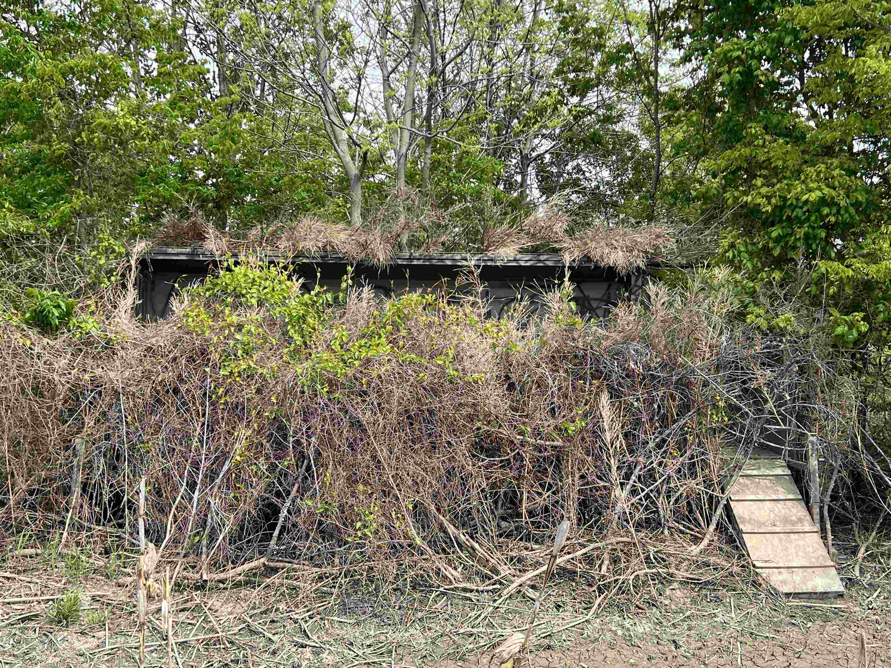 135 Miston Tank Road Ridgely, TN 38080 - Photo 33 of 40 Gallery Image 33