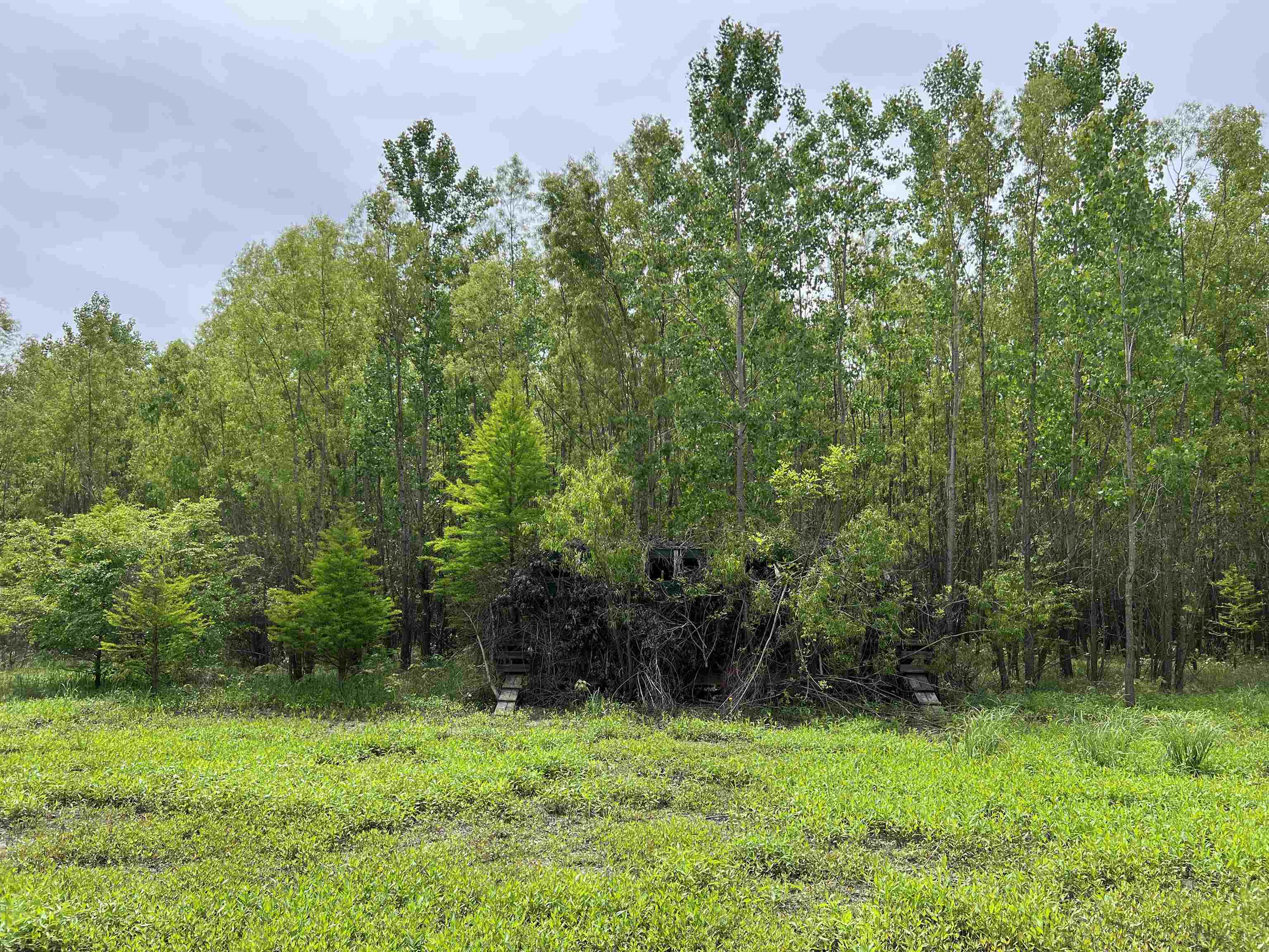 135 Miston Tank Road Ridgely, TN 38080 - Photo 37 of 40 Gallery Image 37