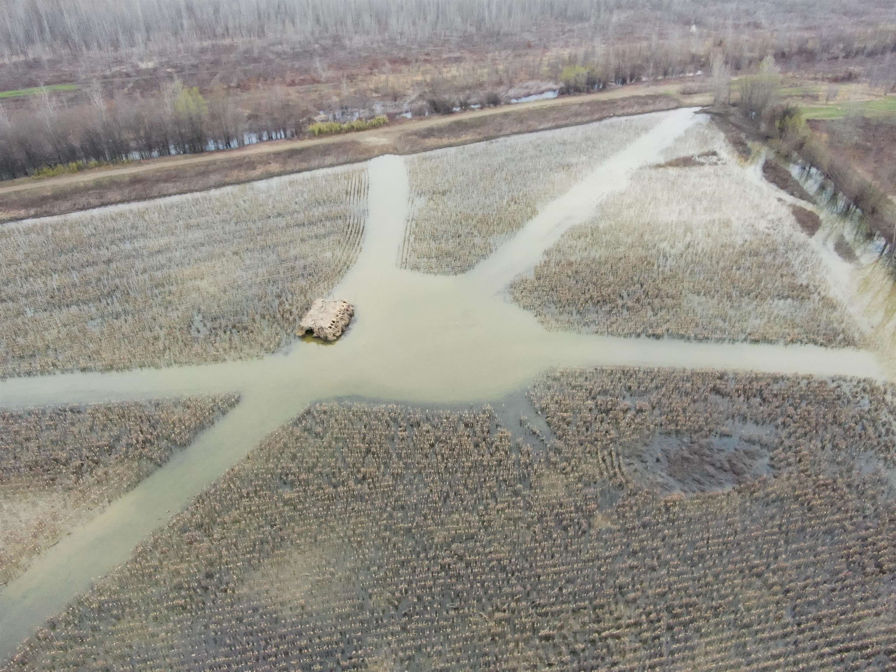 Birds eye view of property