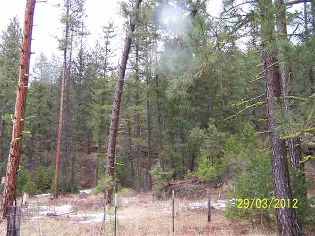 Nine Mine Road Kettle Falls, WA 99141 - Photo 1 of 9 Gallery Image 1