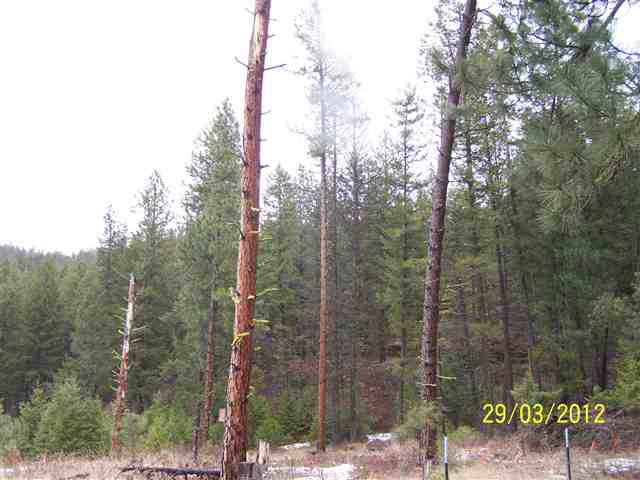 Nine Mine Road Kettle Falls, WA 99141 - Photo 2 of 9 Gallery Image 2