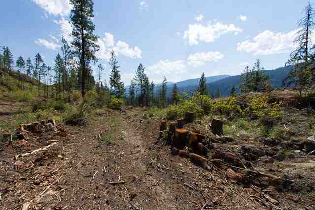 Nine Mine Road Kettle Falls, WA 99141 - Photo 3 of 9 Gallery Image 3