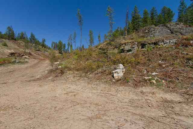 Nine Mine Road Kettle Falls, WA 99141 - Photo 4 of 9 Gallery Image 4