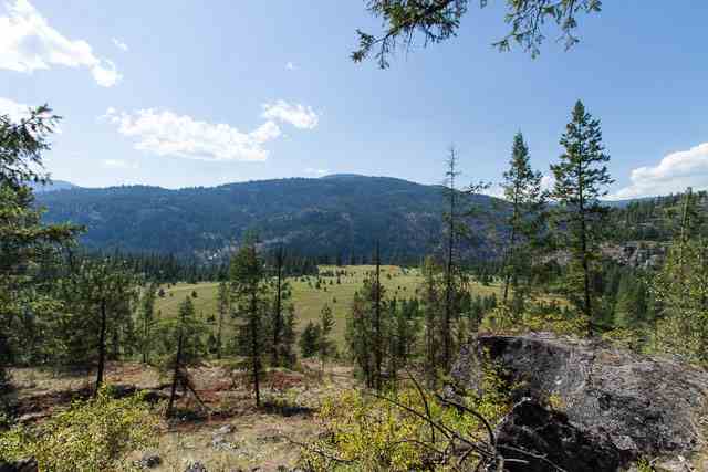 Nine Mine Road Kettle Falls, WA 99141 - Photo 5 of 9 Gallery Image 5