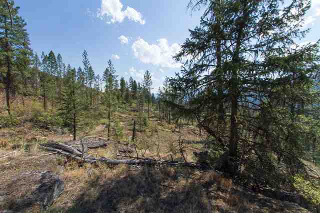 Nine Mine Road Kettle Falls, WA 99141 - Photo 6 of 9 Gallery Image 6