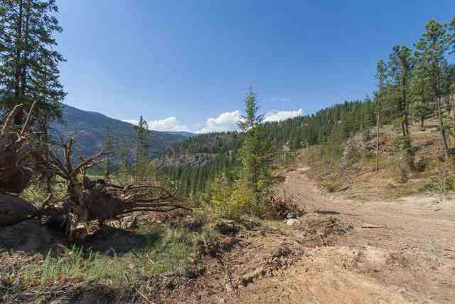 Nine Mine Road Kettle Falls, WA 99141 - Photo 7 of 9 Gallery Image 7