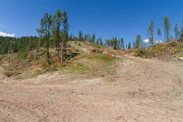 Nine Mine Road Kettle Falls, WA 99141 - Photo 8 of 9 Gallery Image 8