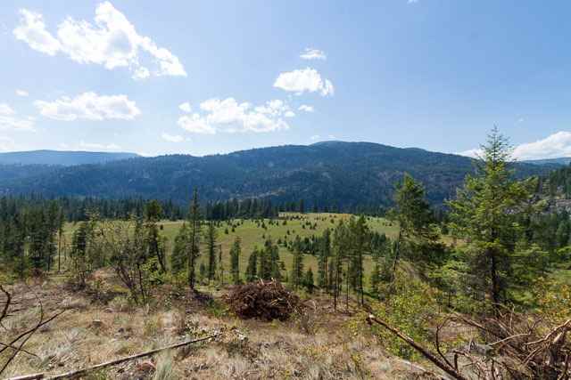 Nine Mine Road Kettle Falls, WA 99141 - Photo 9 of 9 Gallery Image 9