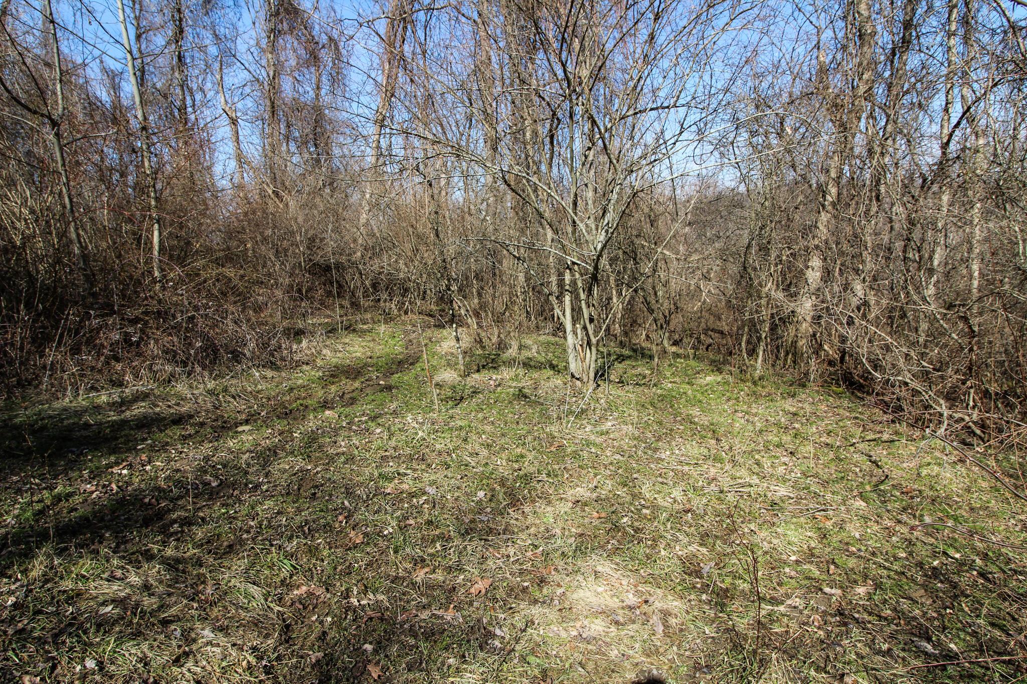 0 Waymor Road Quaker City, OH 43773 - Photo 7 of 24