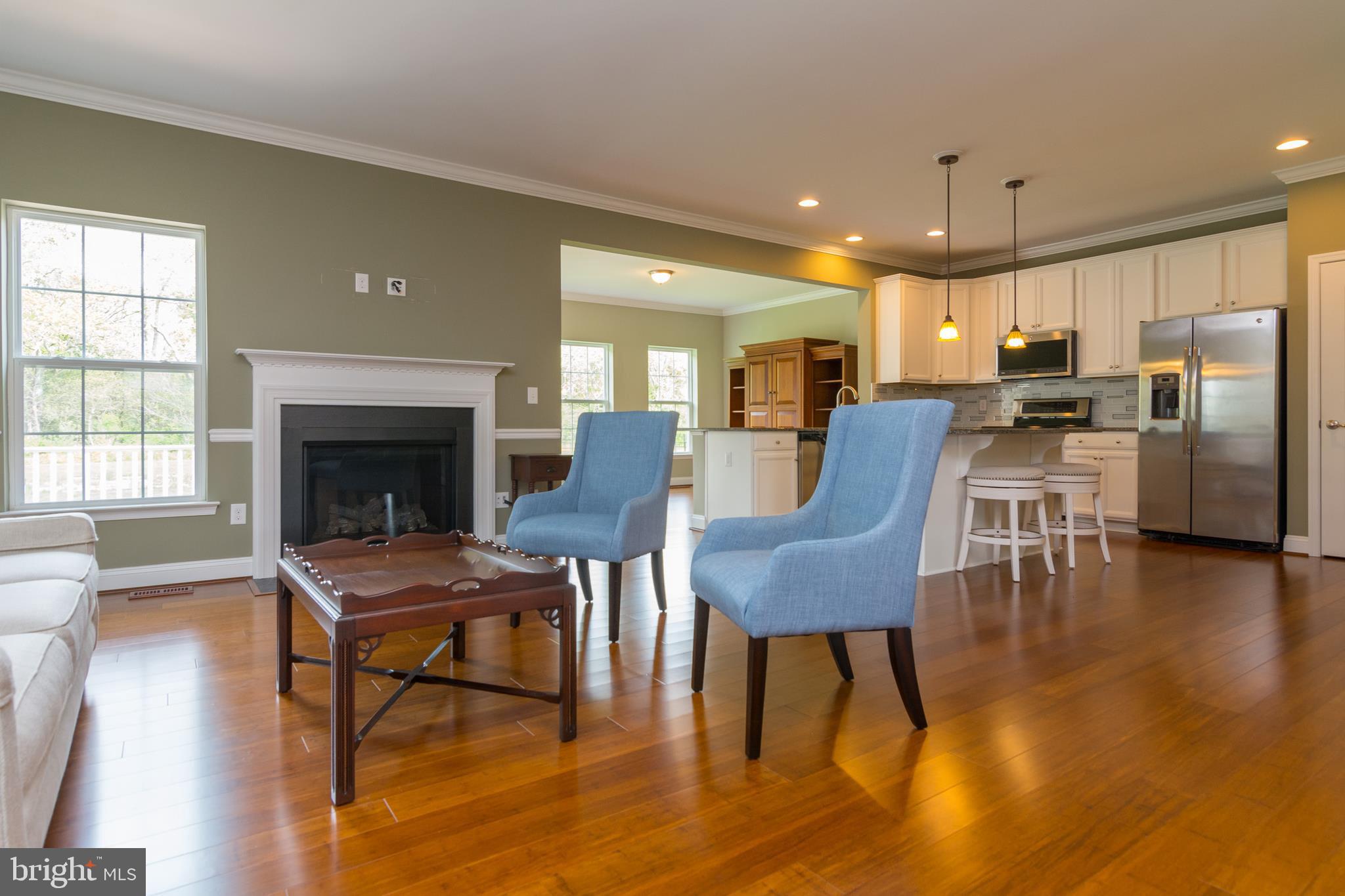 36980 Grove Estate Road Lewes, DE 19958 - Photo 5 of 29 Living Room with Natural Gas Fireplace
