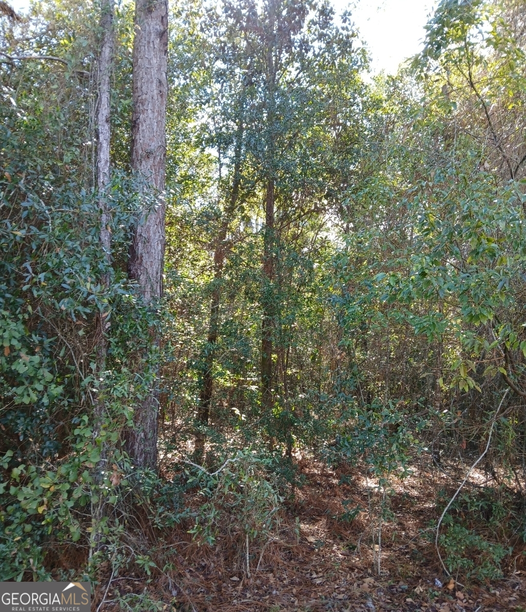 4 Kelly Road Folkston, GA 31537 - Photo 7 of 12